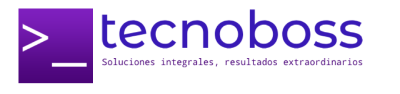 TecnoBoss Logo